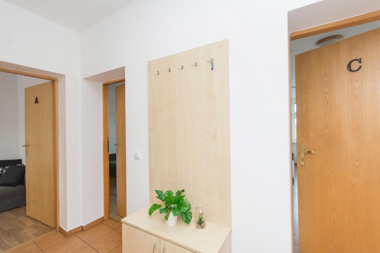 Albergue Akademikus Stary Toruń Exterior foto